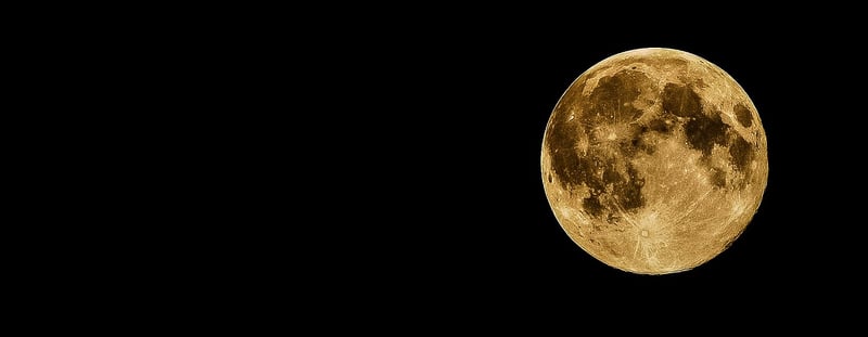 Full Moon Revelry