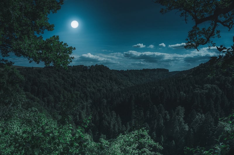 Moon Phases